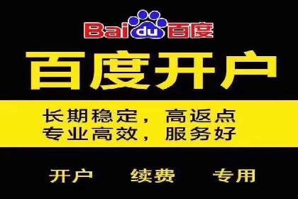 百度推广公司案例展示：从零到一的蜕变之路